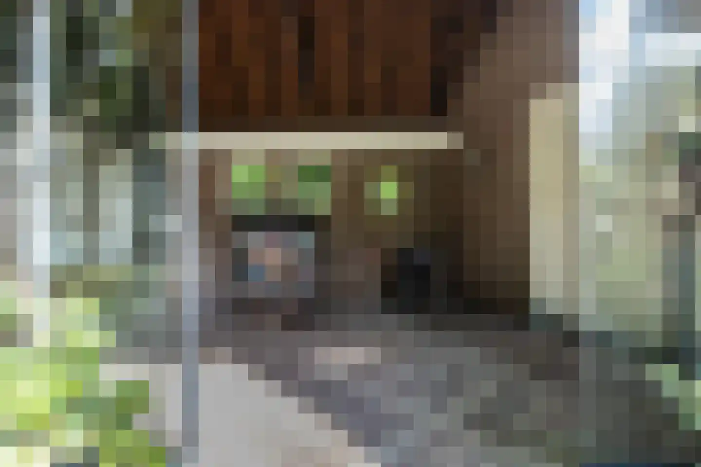Diepenbrocklaan 19 Arnhem thumbnail 57