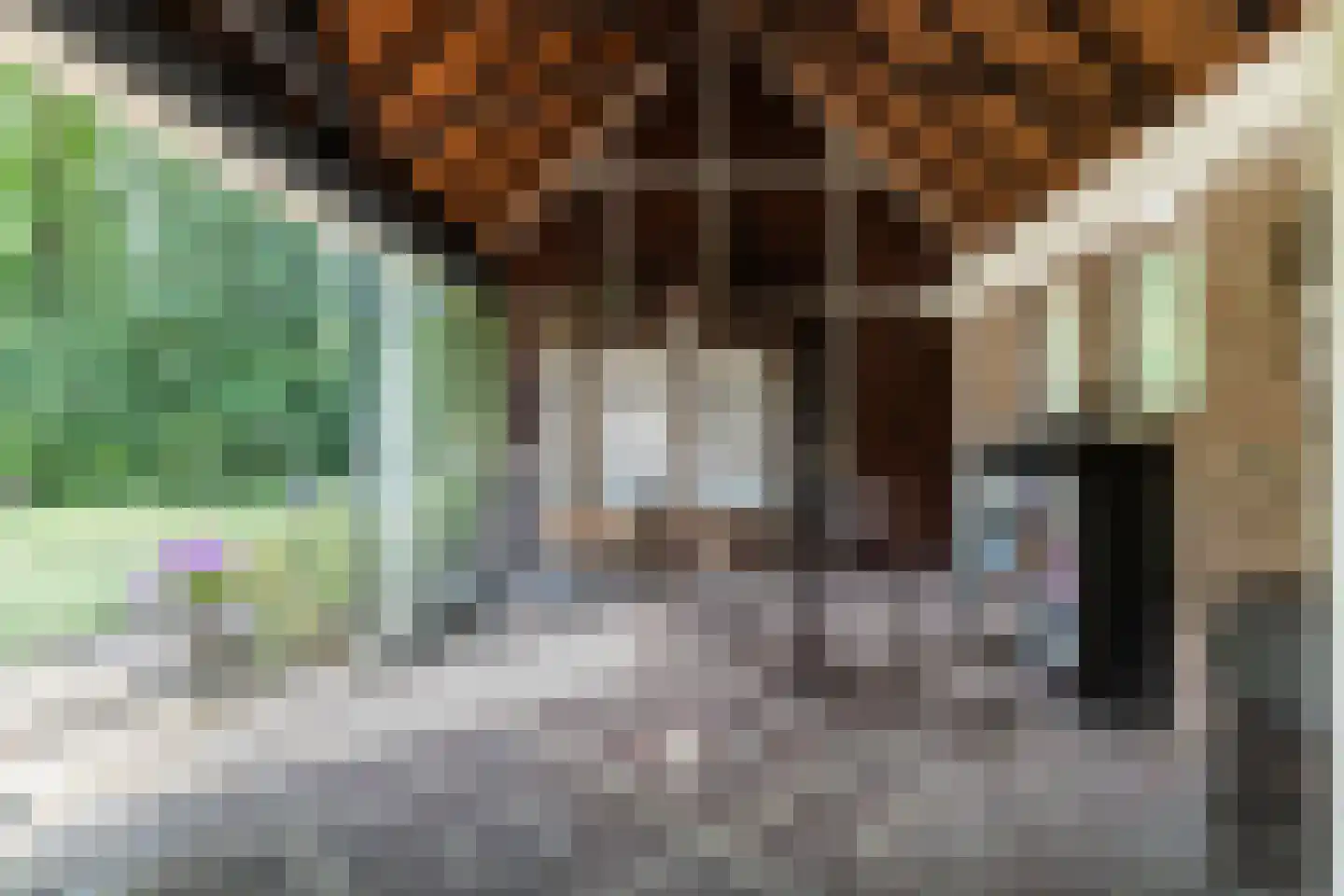 Diepenbrocklaan 19 Arnhem thumbnail 59