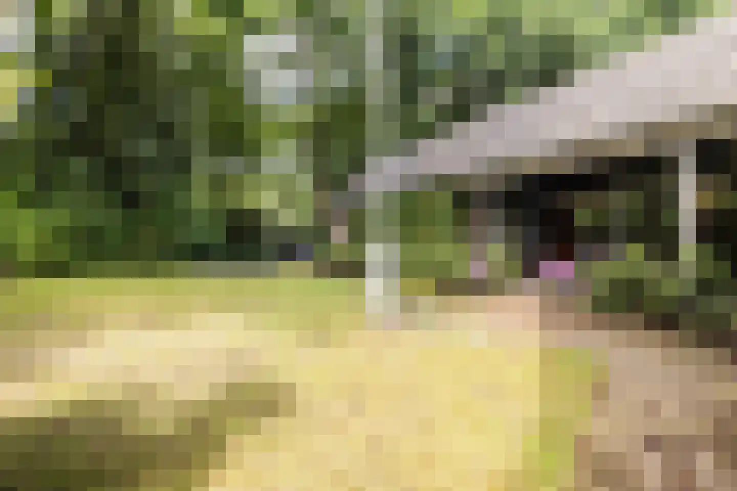 Diepenbrocklaan 19 Arnhem thumbnail 6