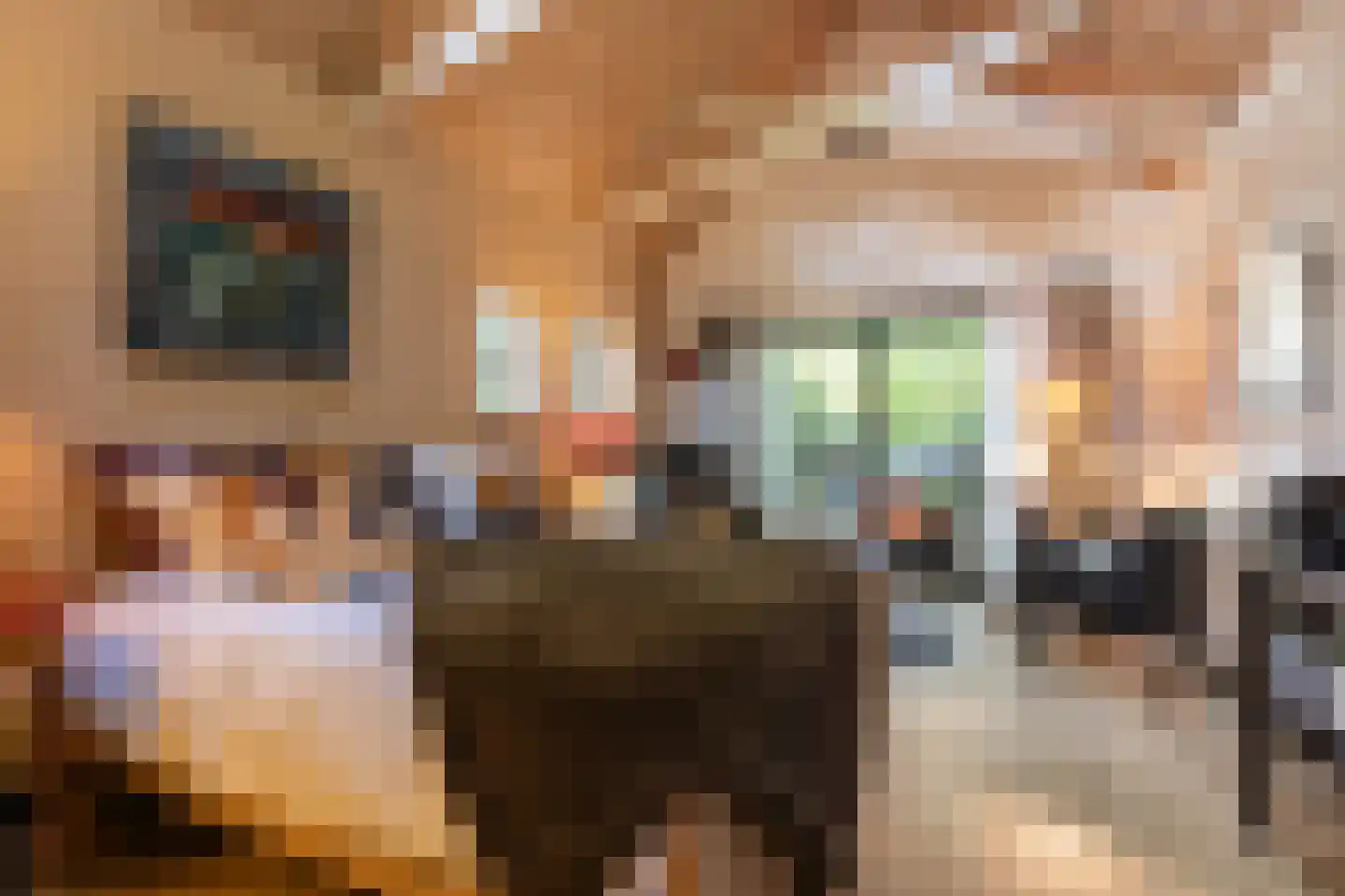 Diepenbrocklaan 19 Arnhem thumbnail 60