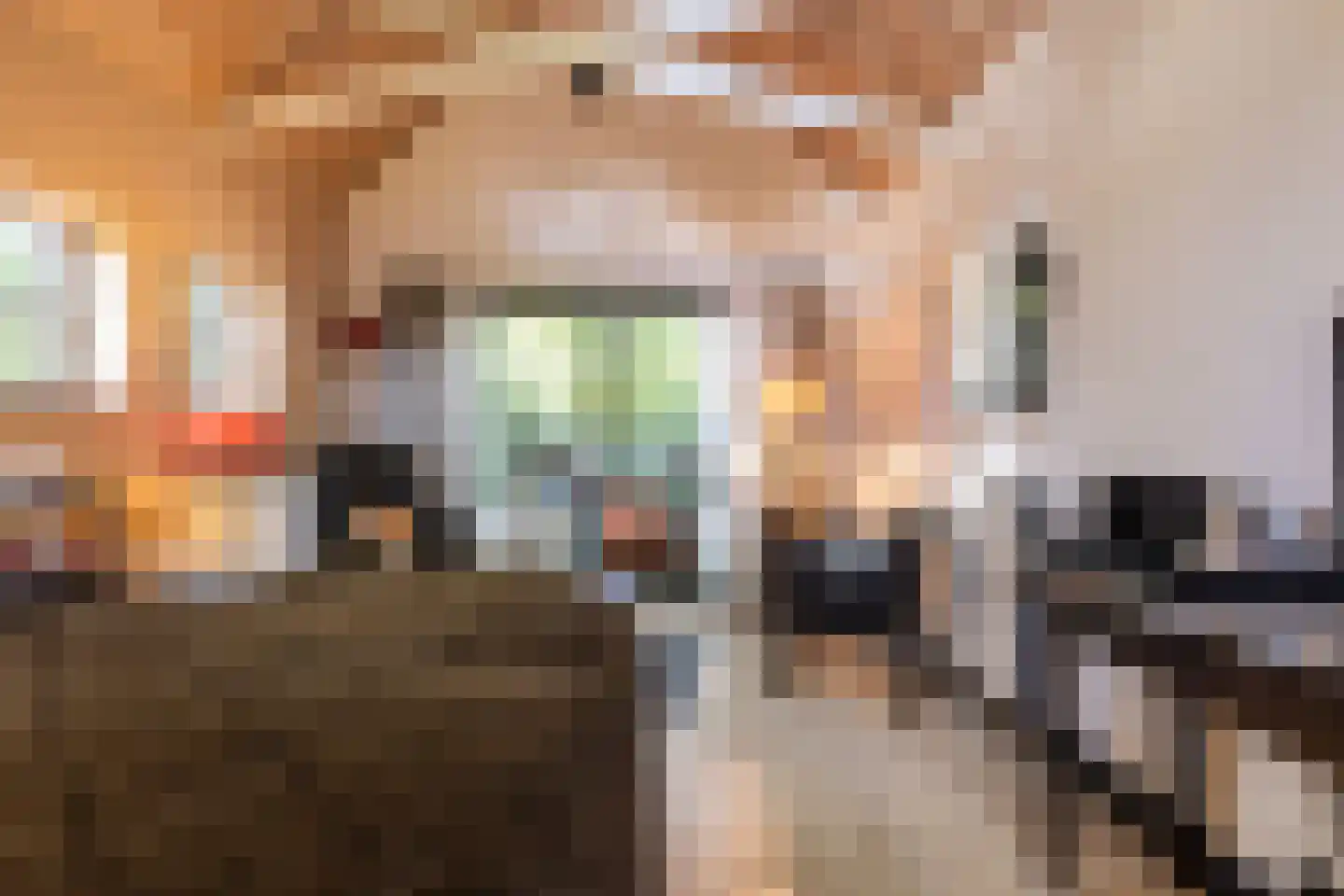 Diepenbrocklaan 19 Arnhem thumbnail 61