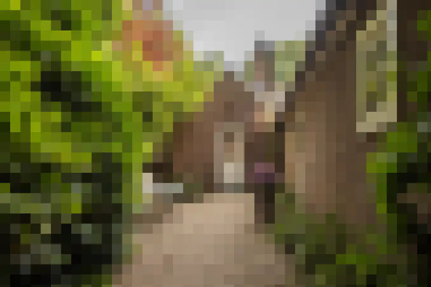 Diepenbrocklaan 19 Arnhem thumbnail 67