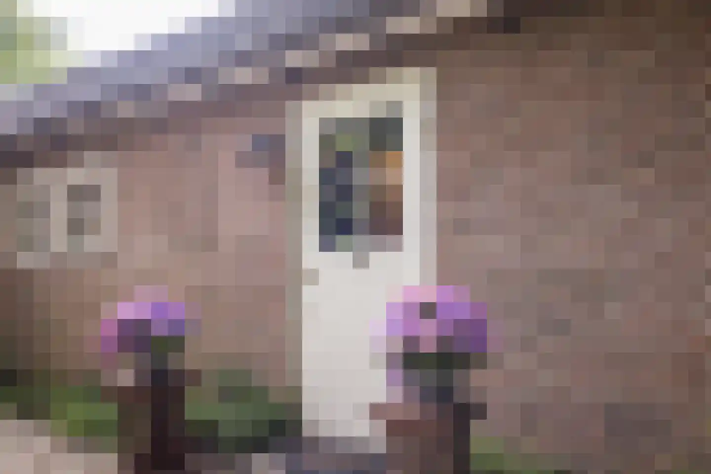 Diepenbrocklaan 19 Arnhem thumbnail 68