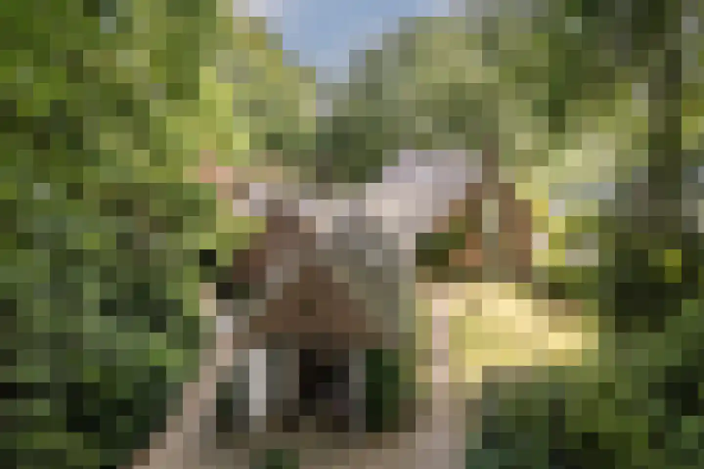 Diepenbrocklaan 19 Arnhem thumbnail 69