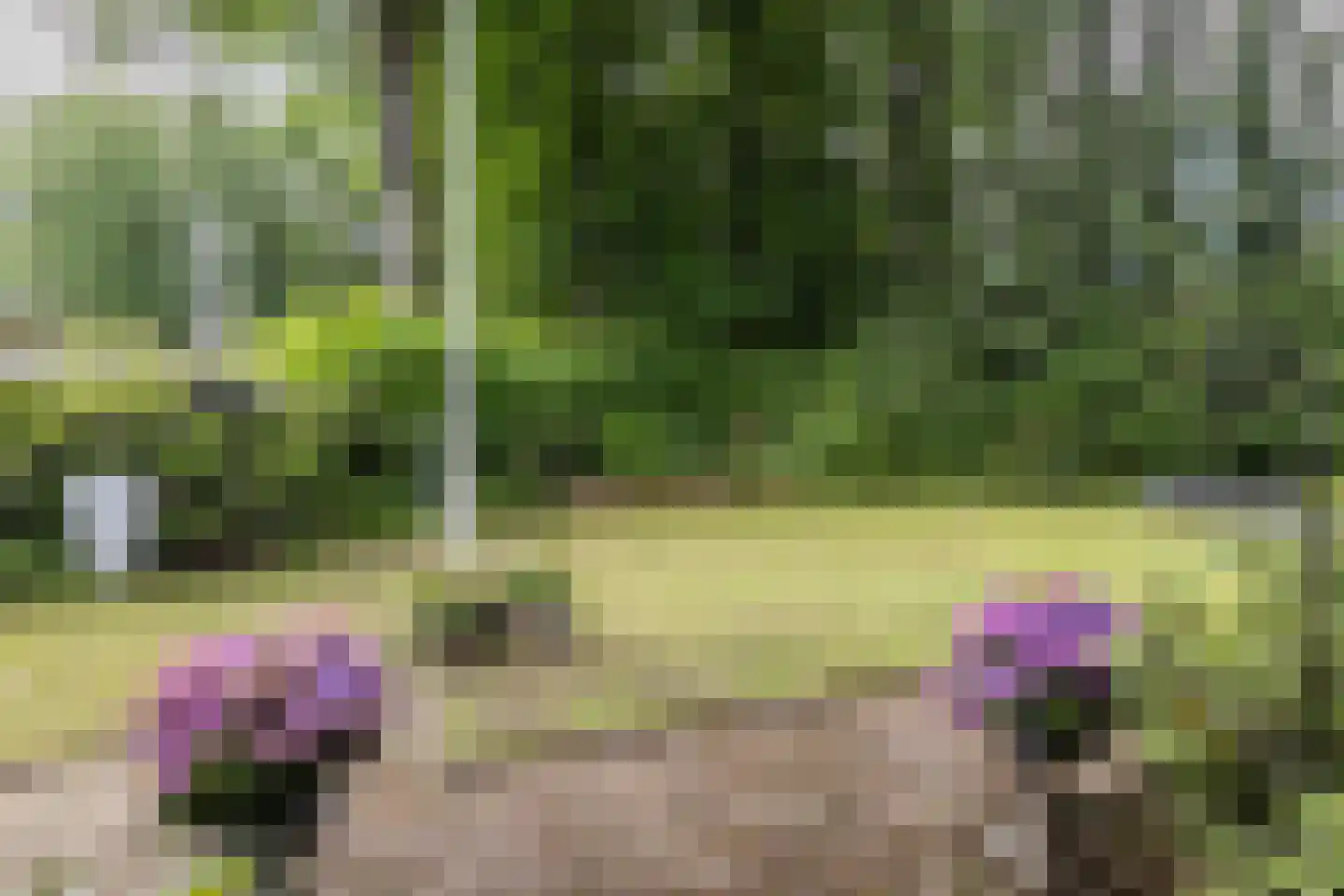 Diepenbrocklaan 19 Arnhem thumbnail 7