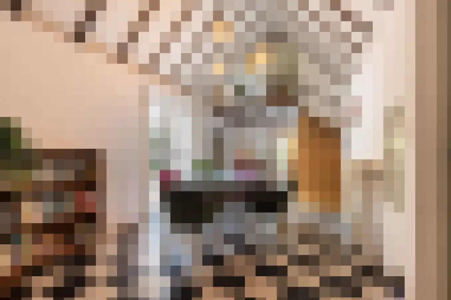 Diepenbrocklaan 19 Arnhem thumbnail 9