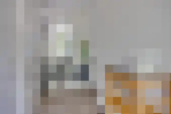 Diepenbrocklaan 2 Bilthoven thumbnail 16