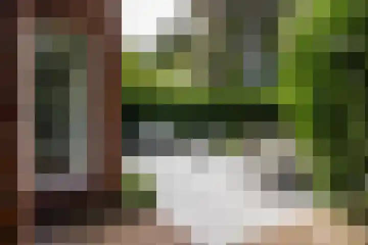 Diepenbrocklaan 2 Bilthoven thumbnail 18