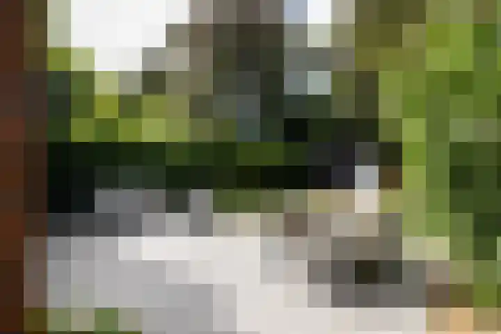 Diepenbrocklaan 2 Bilthoven thumbnail 19
