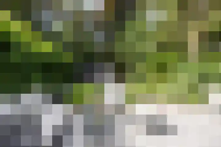 Diepenbrocklaan 2 Bilthoven thumbnail 20