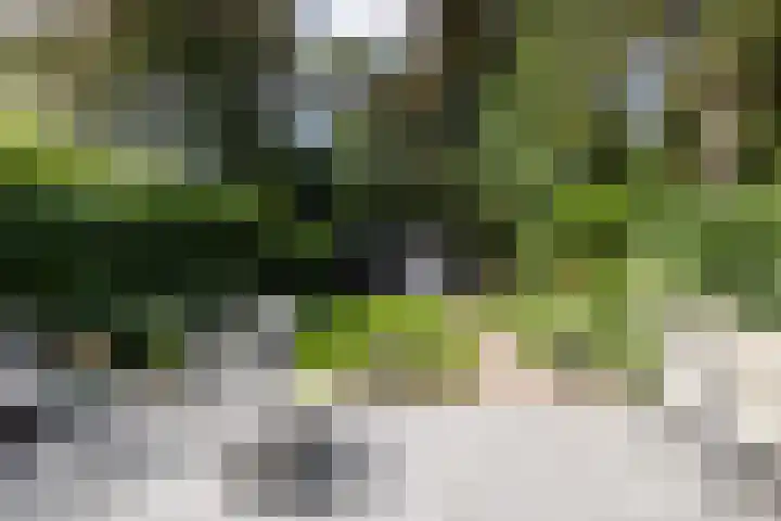 Diepenbrocklaan 2 Bilthoven thumbnail 21
