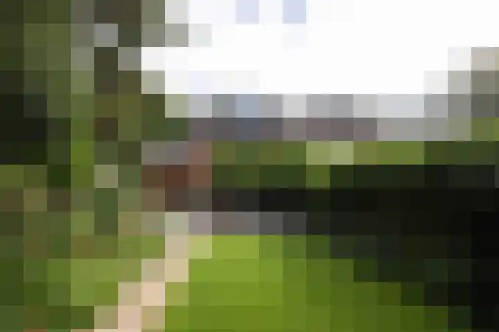 Diepenbrocklaan 2 Bilthoven thumbnail 22