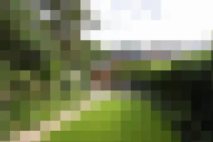 Diepenbrocklaan 2 Bilthoven thumbnail 23