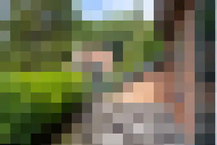 Diepenbrocklaan 2 Bilthoven thumbnail 34