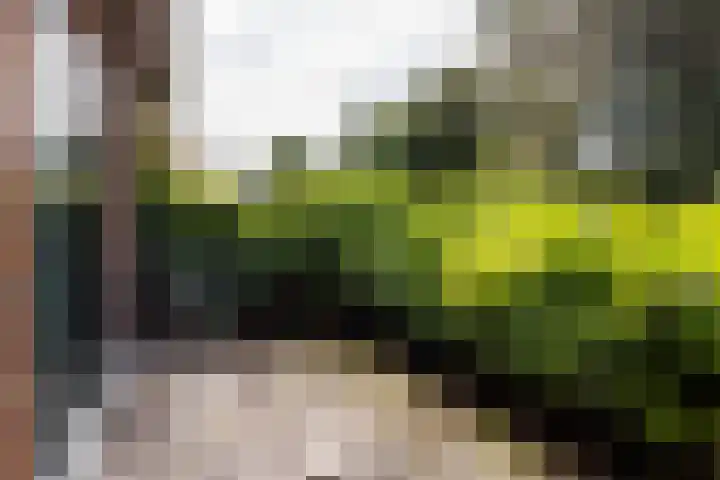 Diepenbrocklaan 2 Bilthoven thumbnail 35