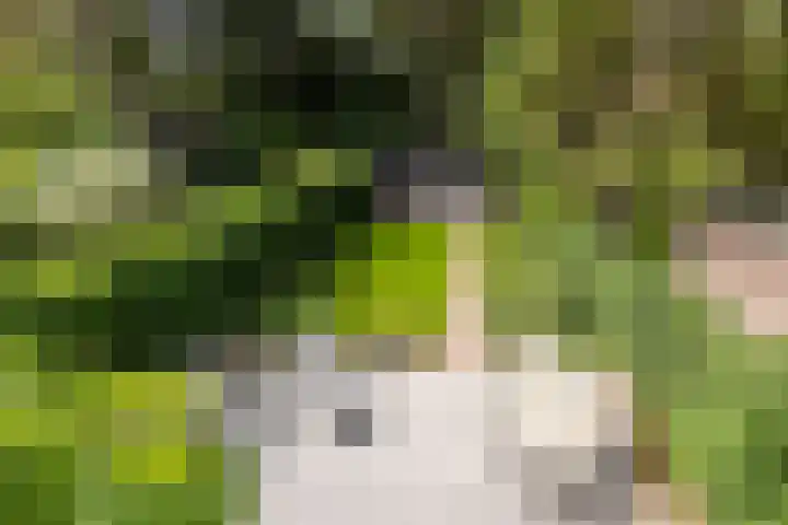 Diepenbrocklaan 2 Bilthoven thumbnail 36