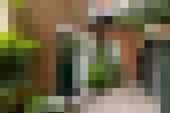 Diepenbrocklaan 2 Bilthoven thumbnail 4