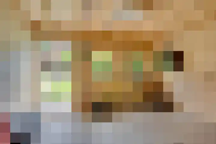 Diepenbrocklaan 2 Bilthoven thumbnail 47