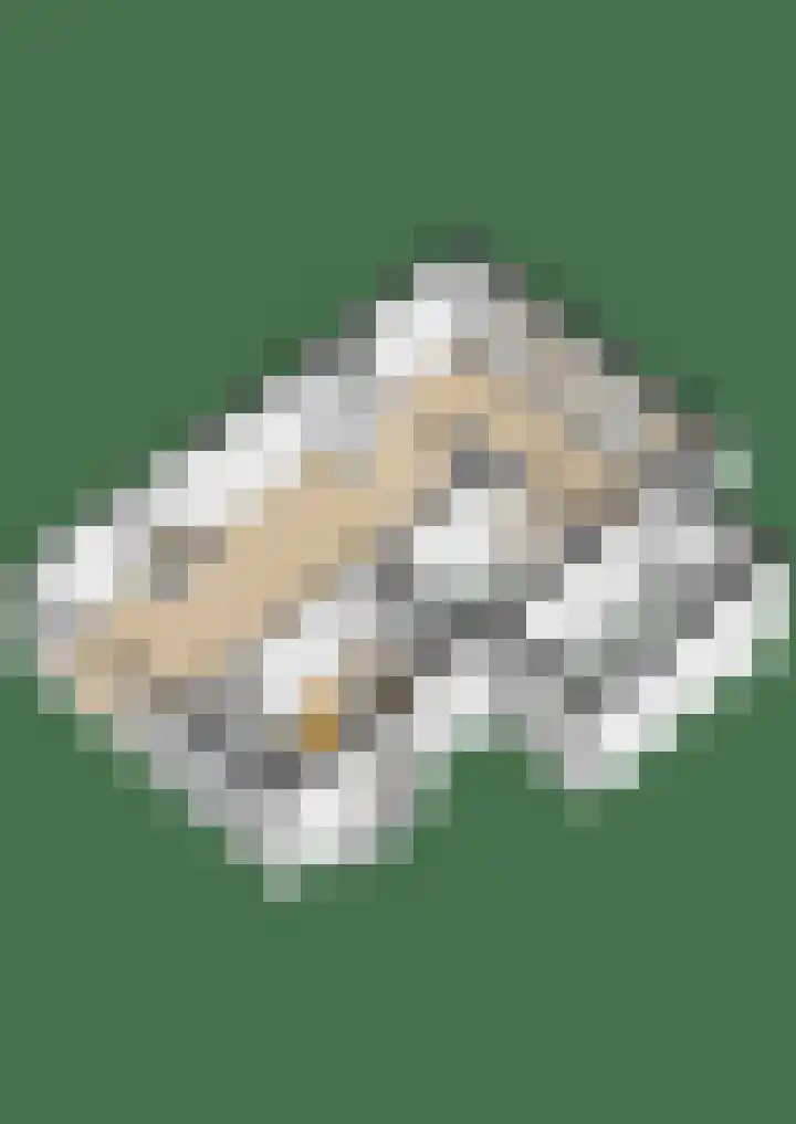 Diepenbrocklaan 2 Bilthoven thumbnail 56