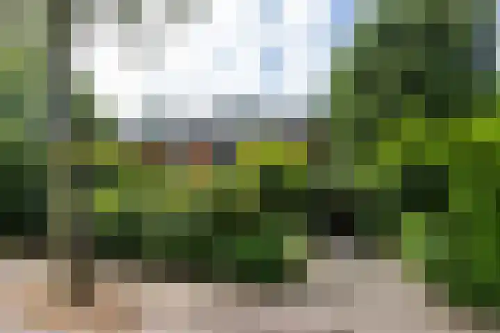 Diepenbrocklaan 2 Bilthoven thumbnail 61