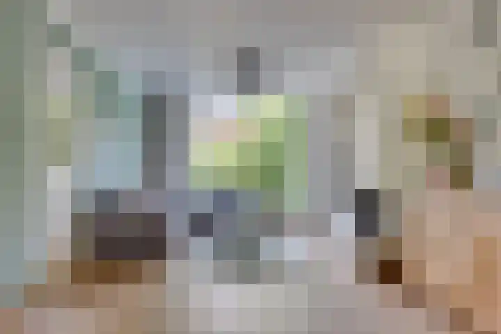 Diepenbrocklaan 2 Bilthoven thumbnail 7