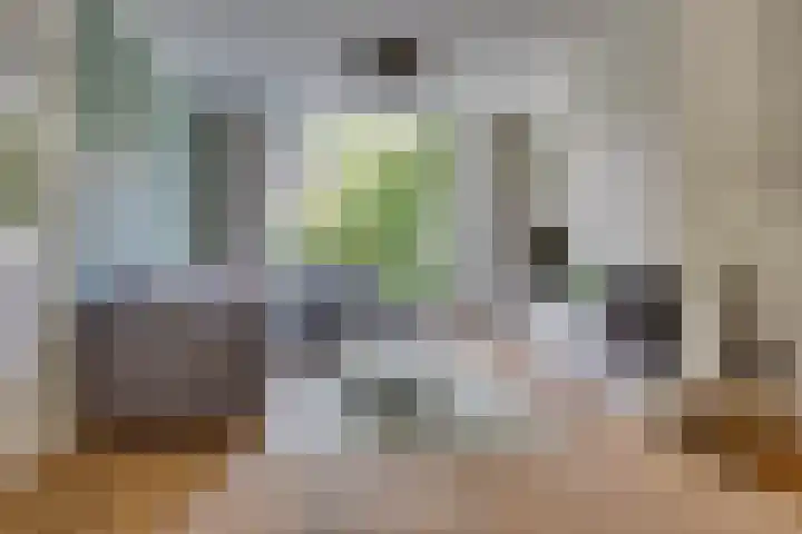 Diepenbrocklaan 2 Bilthoven thumbnail 8