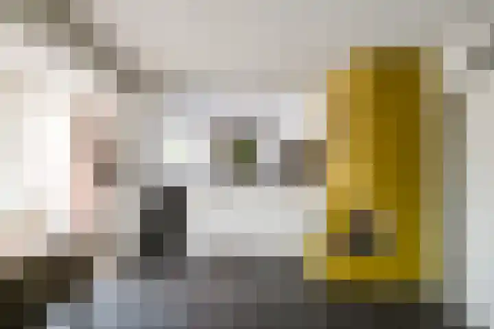 Diepenbrocklaan 3 Losser thumbnail 13