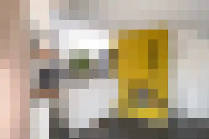Diepenbrocklaan 3 Losser thumbnail 14