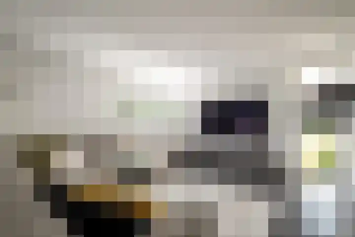 Diepenbrocklaan 3 Losser thumbnail 16
