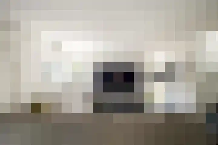 Diepenbrocklaan 3 Losser thumbnail 17