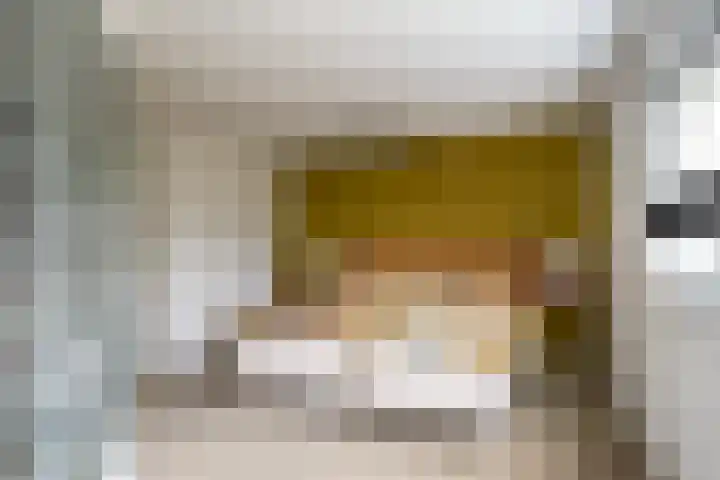 Diepenbrocklaan 3 Losser thumbnail 19