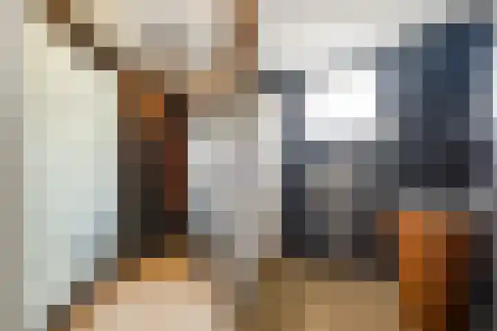 Diepenbrocklaan 3 Losser thumbnail 23
