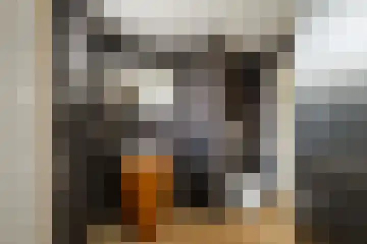 Diepenbrocklaan 3 Losser thumbnail 24