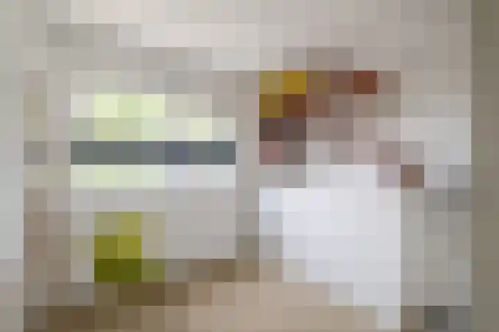 Diepenbrocklaan 3 Losser thumbnail 26