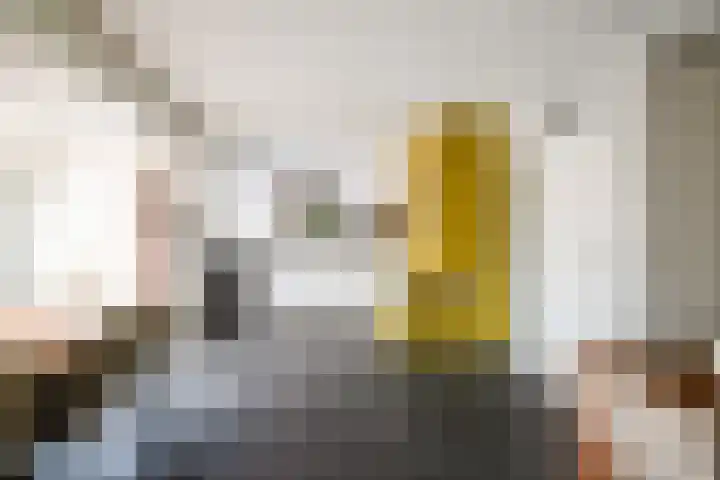 Diepenbrocklaan 3 Losser foto 3