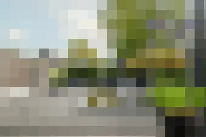 Diepenbrocklaan 3 Losser thumbnail 37