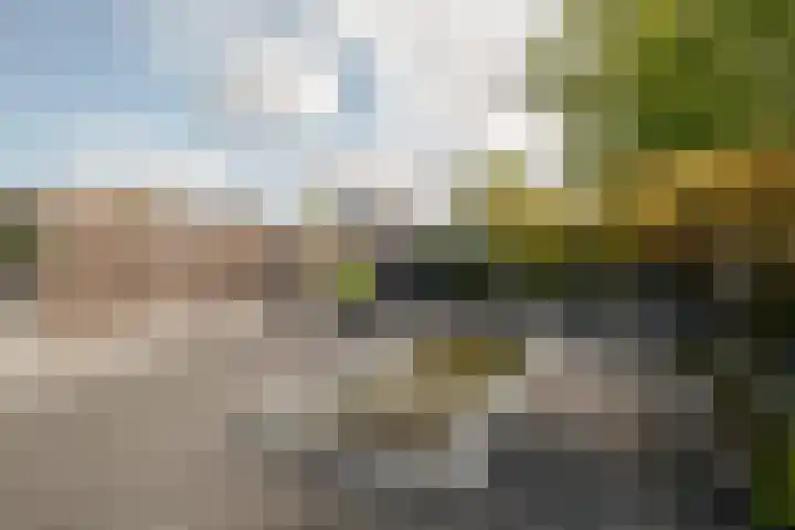 Diepenbrocklaan 3 Losser thumbnail 38