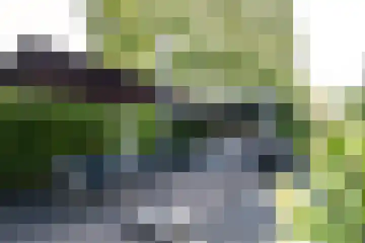 Diepenbrocklaan 3 Losser thumbnail 39