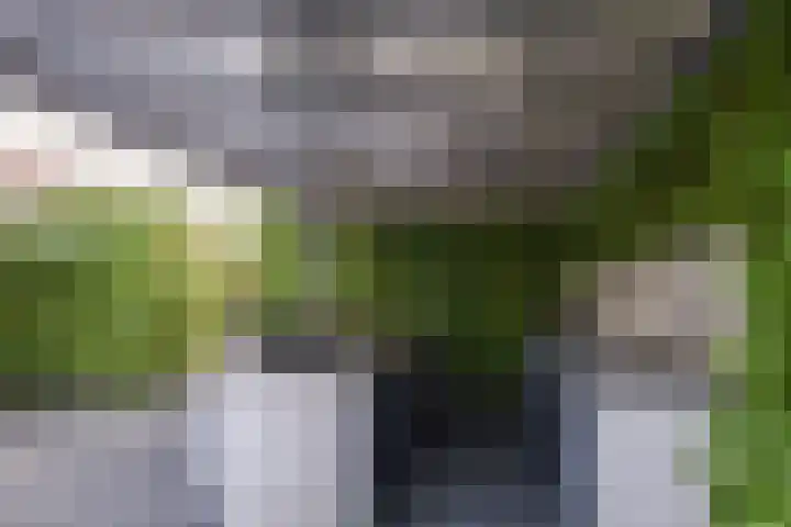 Diepenbrocklaan 3 Losser thumbnail 40