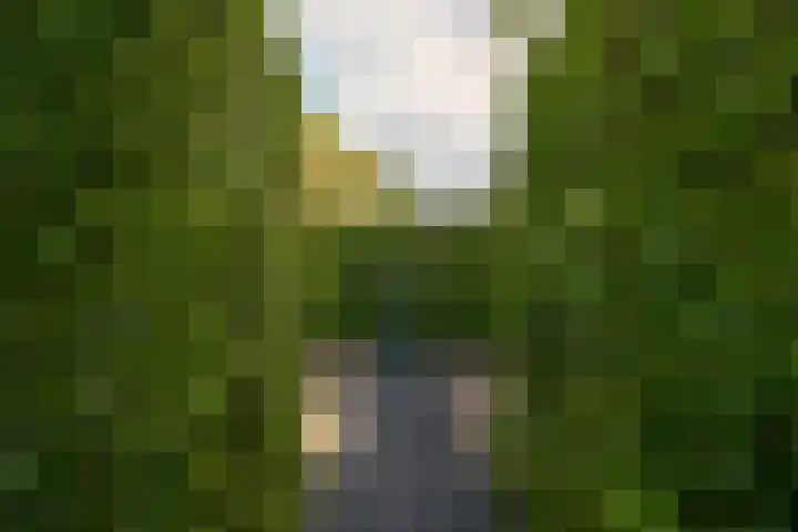 Diepenbrocklaan 3 Losser thumbnail 41