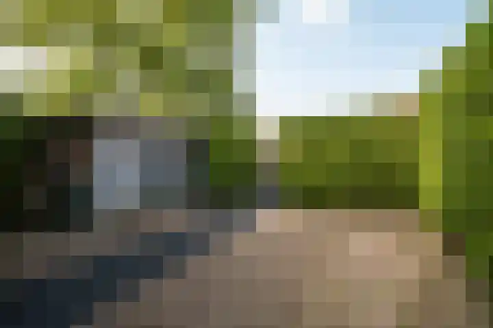 Diepenbrocklaan 3 Losser thumbnail 42