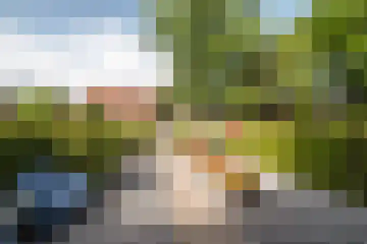 Diepenbrocklaan 3 Losser thumbnail 44