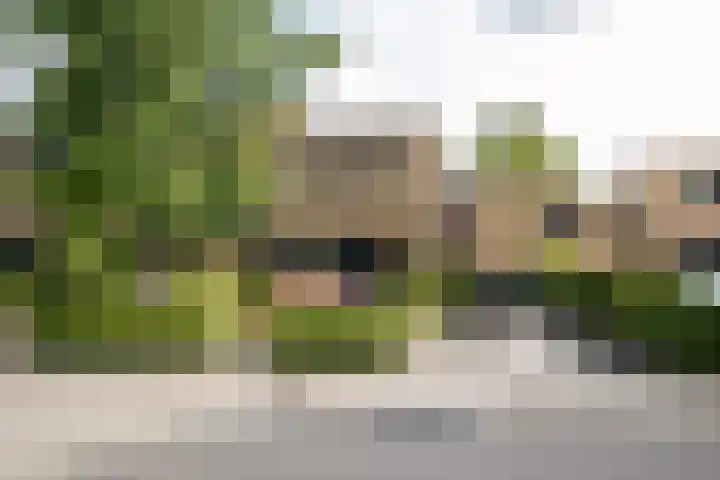 Diepenbrocklaan 3 Losser thumbnail 45