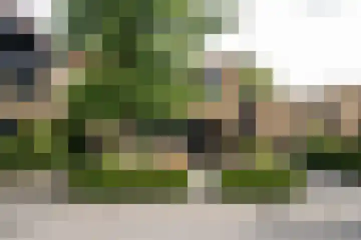 Diepenbrocklaan 3 Losser thumbnail 46