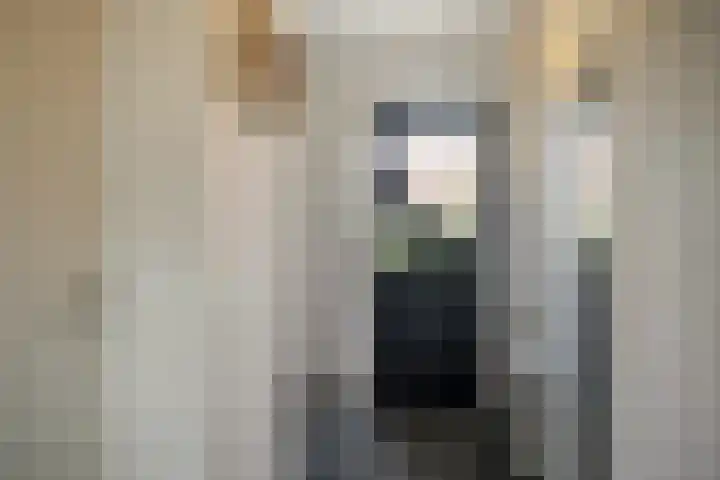 Diepenbrocklaan 3 Losser thumbnail 6