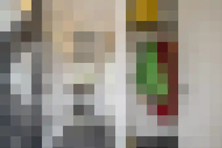 Diepenbrocklaan 3 Losser thumbnail 7