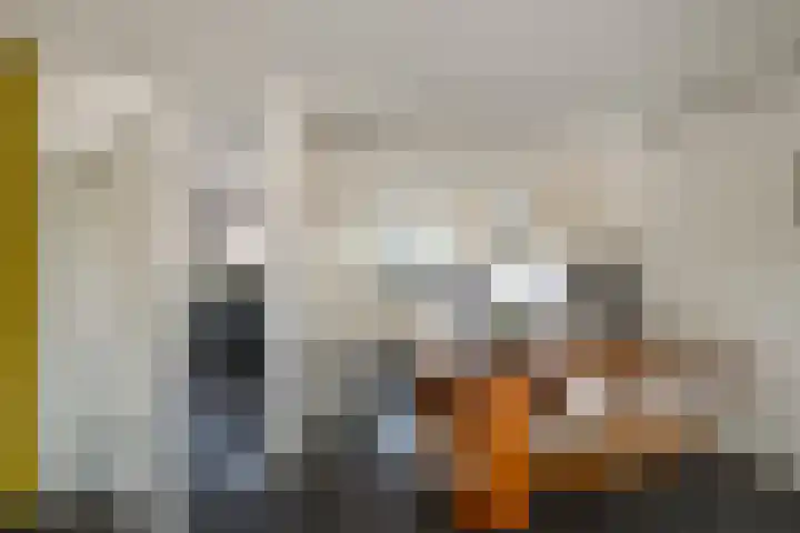 Diepenbrocklaan 3 Losser thumbnail 9