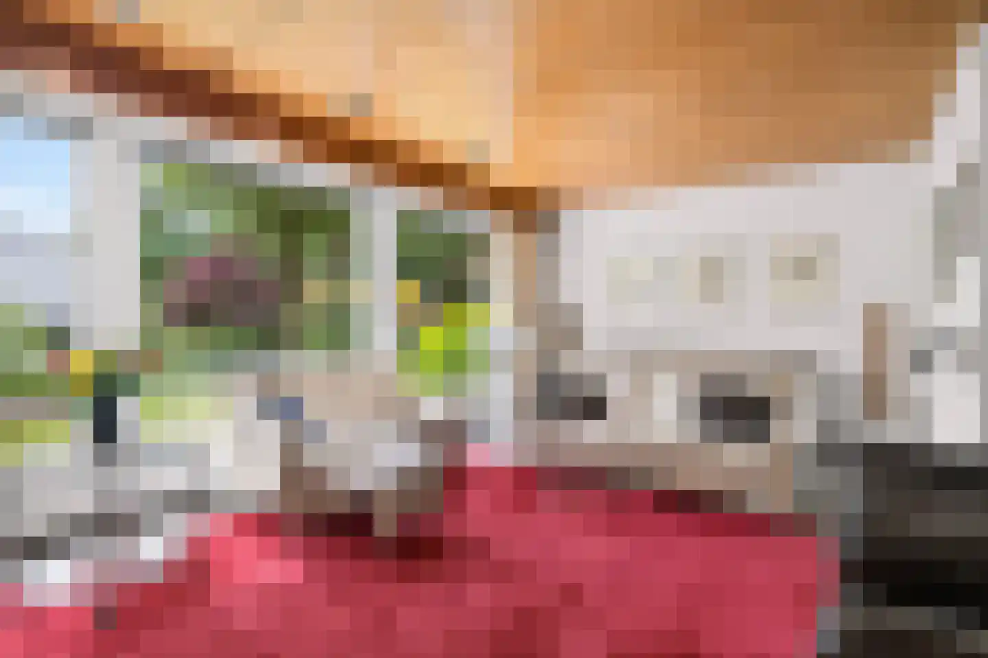 Diepenbrocklaan 31 Ede thumbnail 11