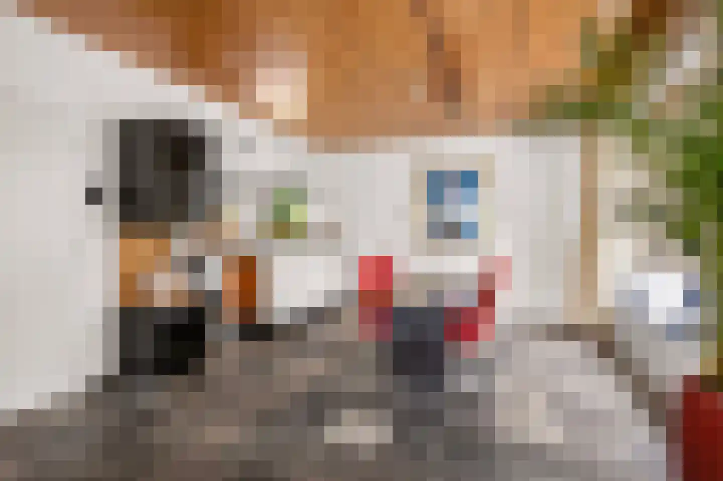 Diepenbrocklaan 31 Ede thumbnail 13
