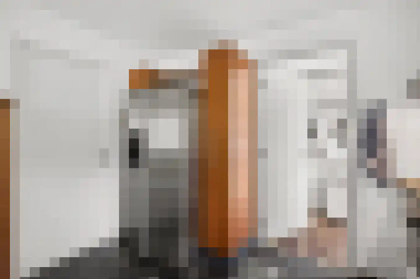 Diepenbrocklaan 31 Ede thumbnail 20